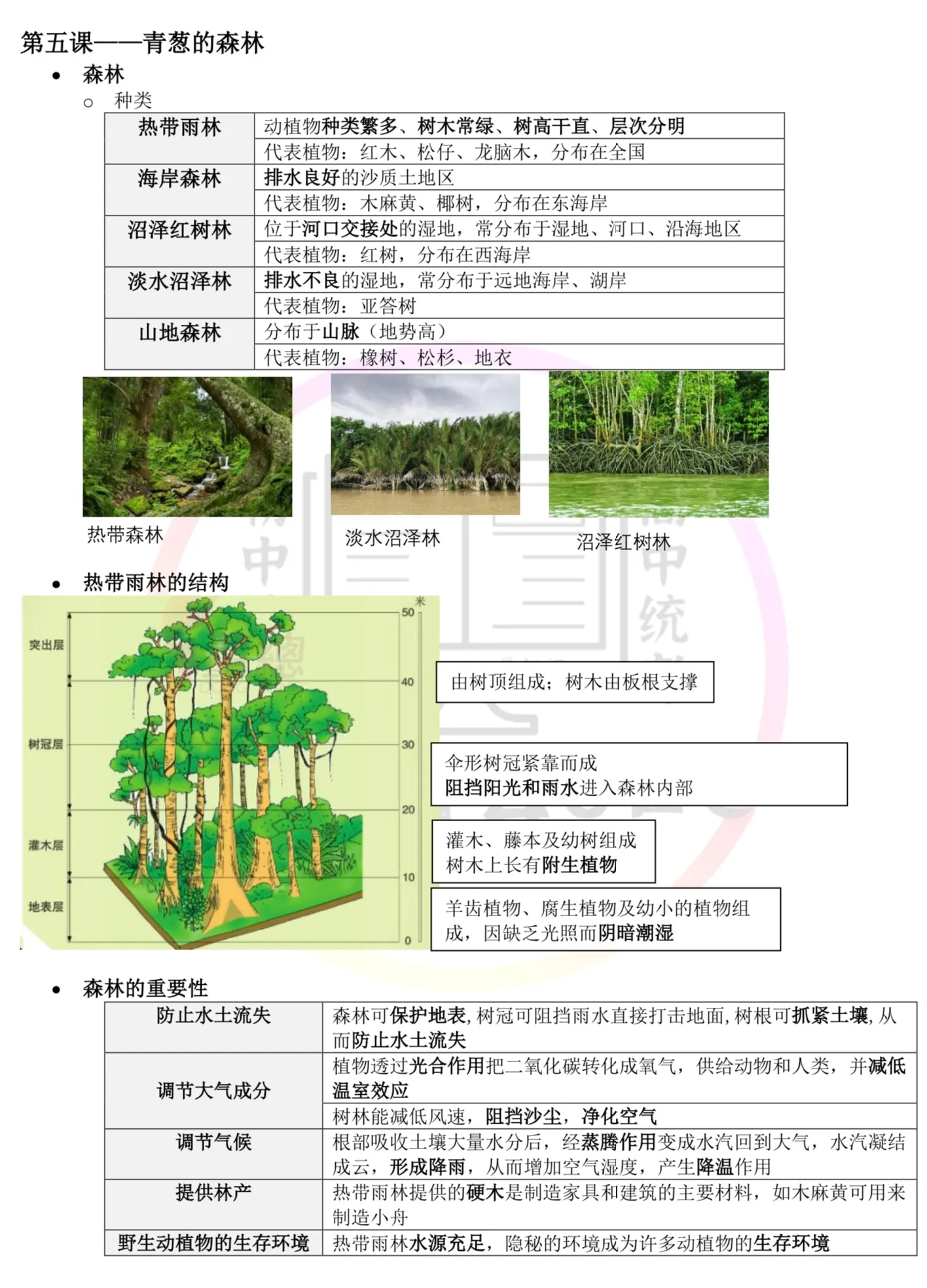 初中地理 thumbnail 3