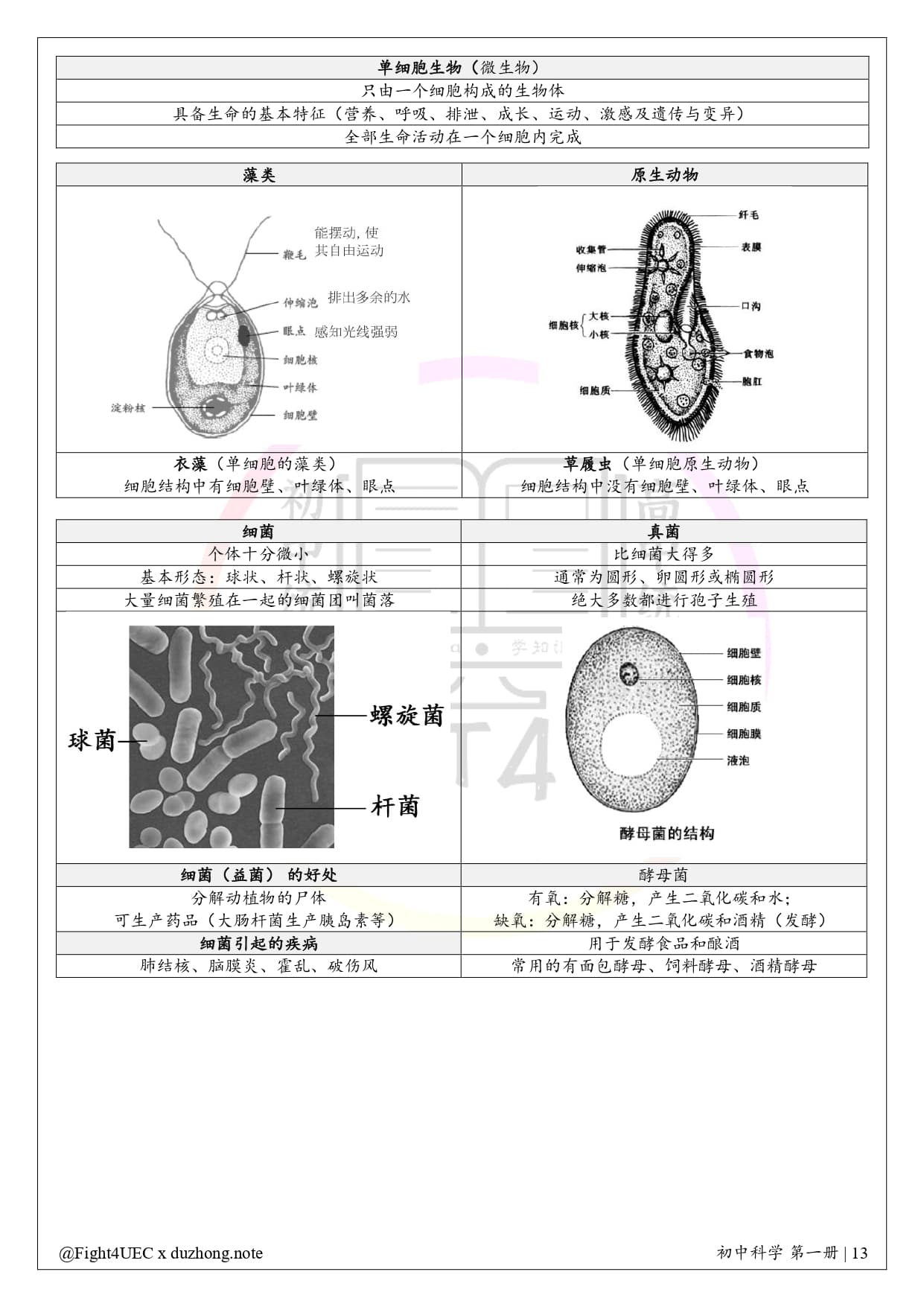 初中科学 thumbnail 3