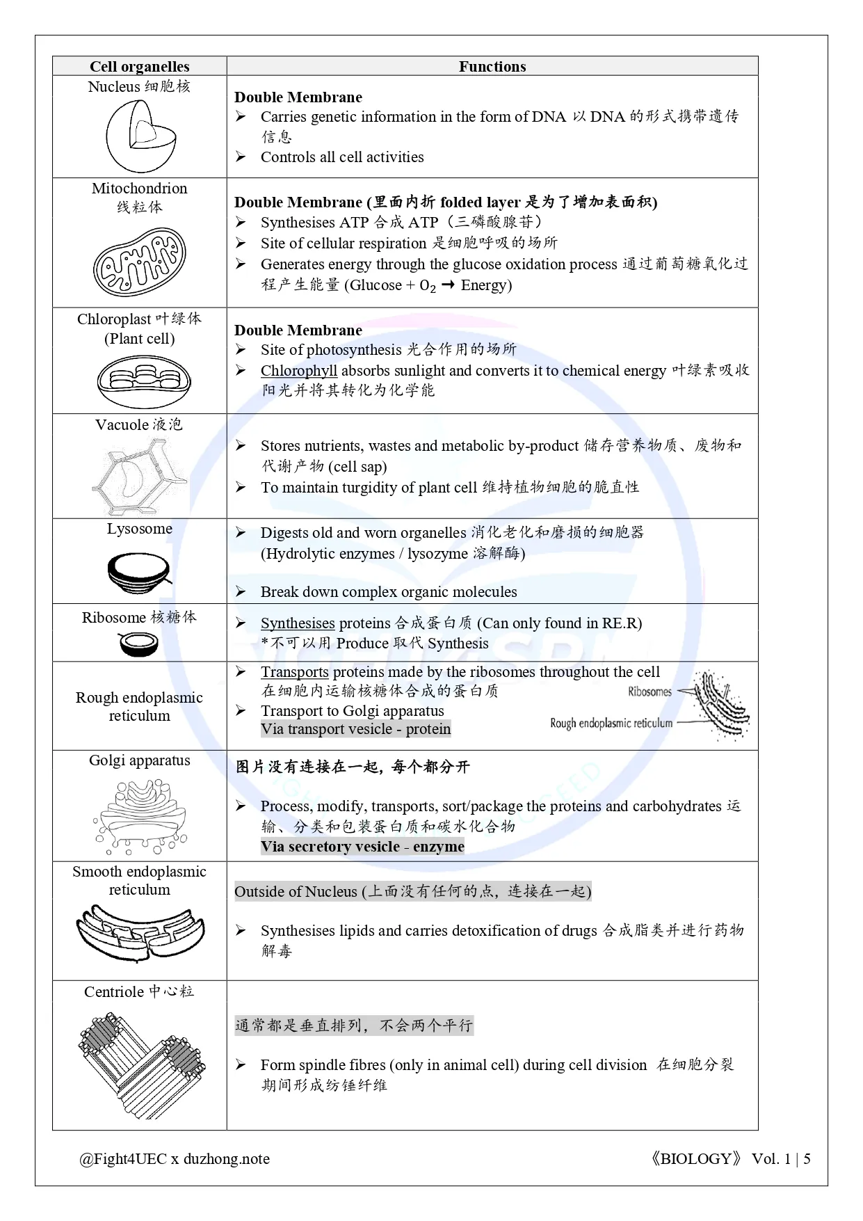 SPM 生物 thumbnail 2