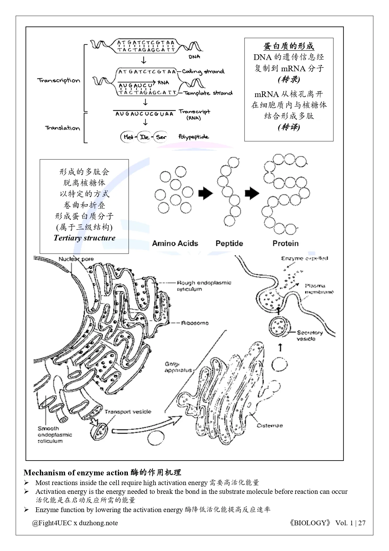 SPM 生物 thumbnail 3