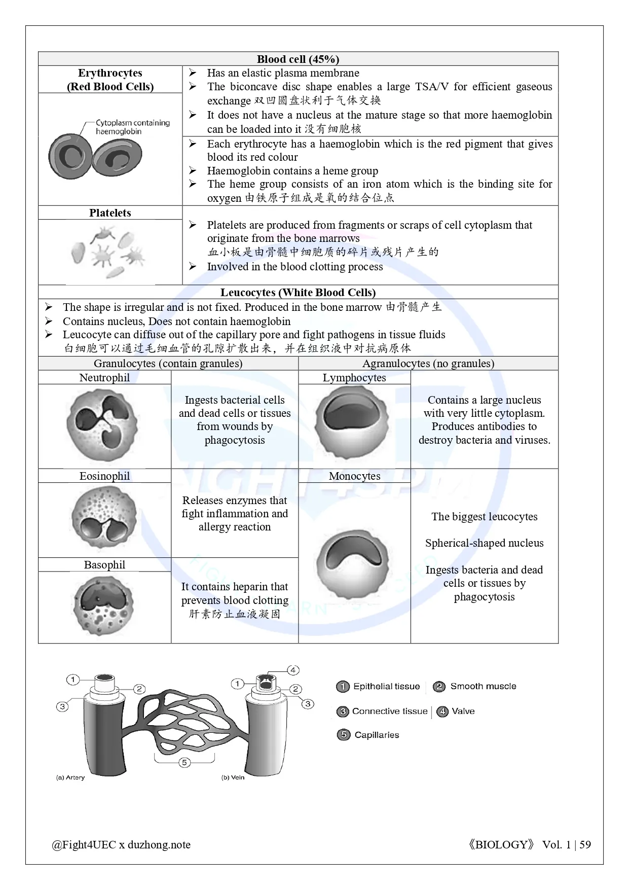SPM 生物 thumbnail 4