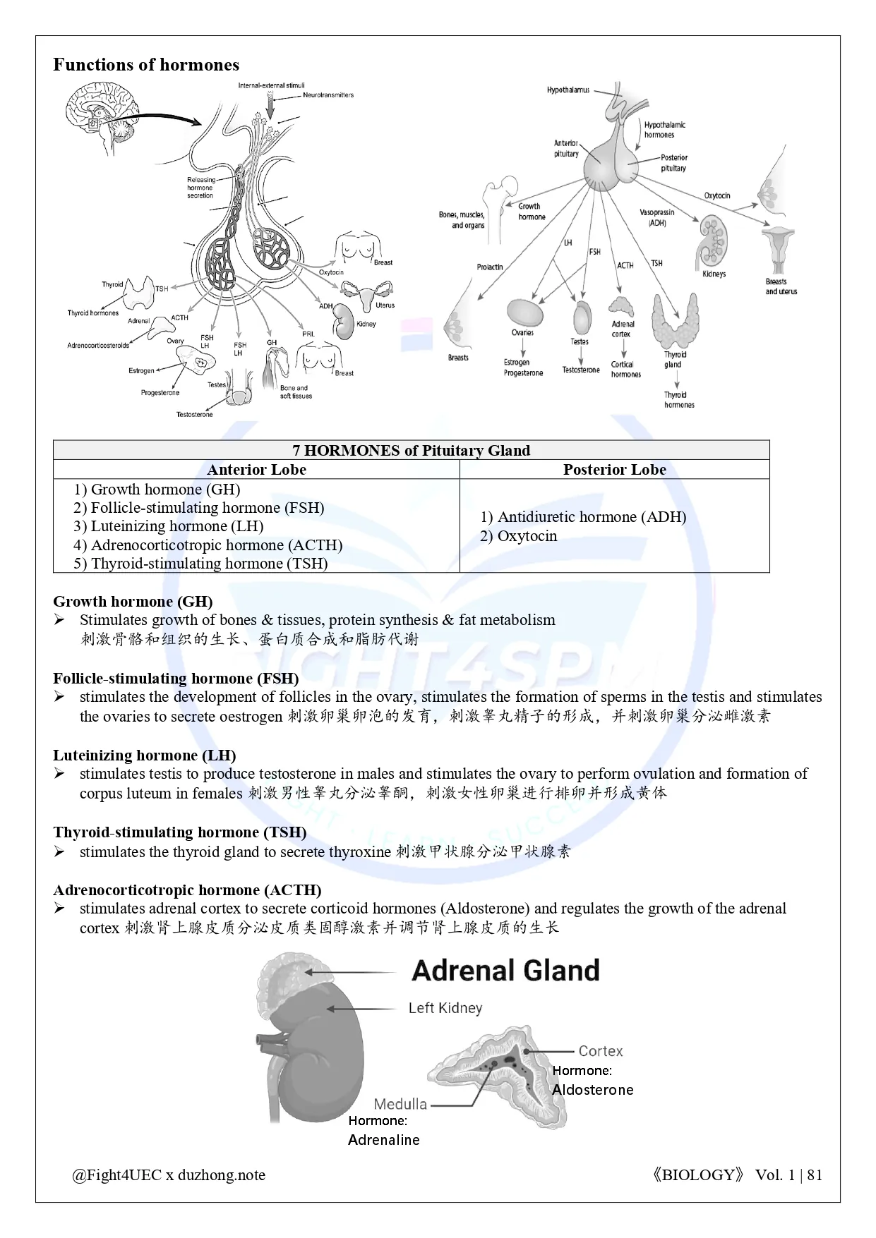 SPM 生物 thumbnail 5